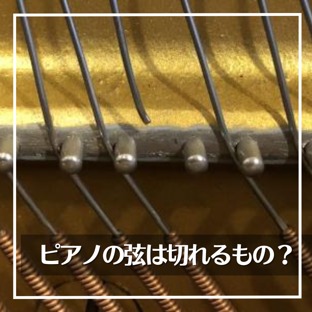 ピアノの弦は切れるもの?切れる理由と切れないようにする方法 | 三田市と神戸市北区の音楽カンパニー・平瀬楽器スタッフブログ