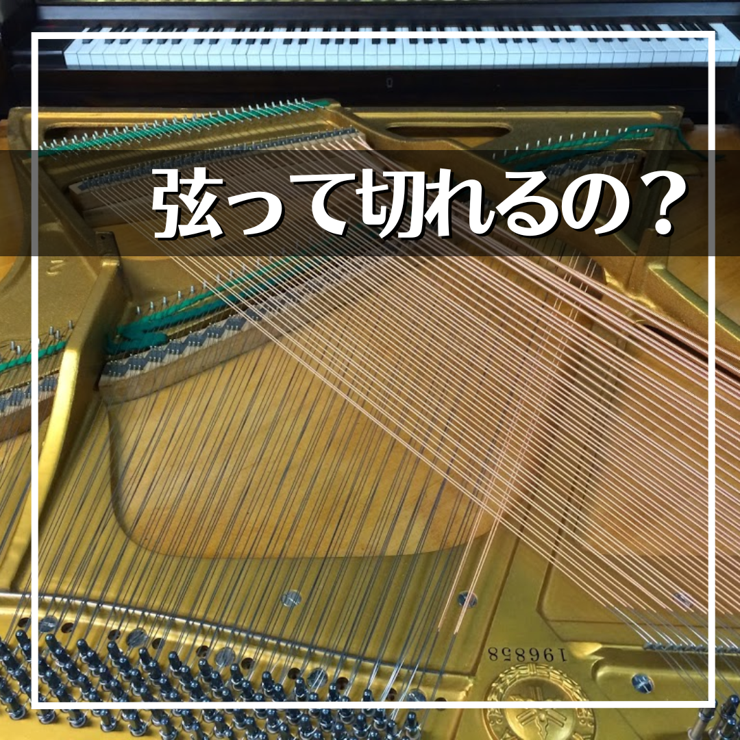 ピアノの弦の繊細さと切れる原因について | 三田市と神戸市北区の音楽カンパニー・平瀬楽器スタッフブログ